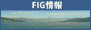 FIG���